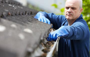 cleaning and inspecting Lyne Station roofs